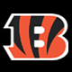 Cincinnati Bengals